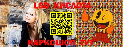 гашик Гусев