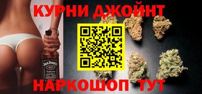 гашик Гусев