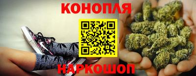 гашик Гусев
